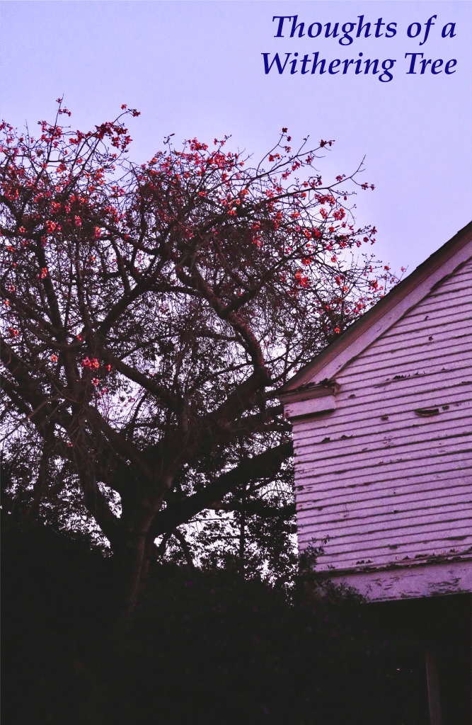 Wiltering Tree Thoughts of a Withering Tree ⋆ Vincent Van Patten